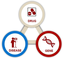 Drug Paradigm