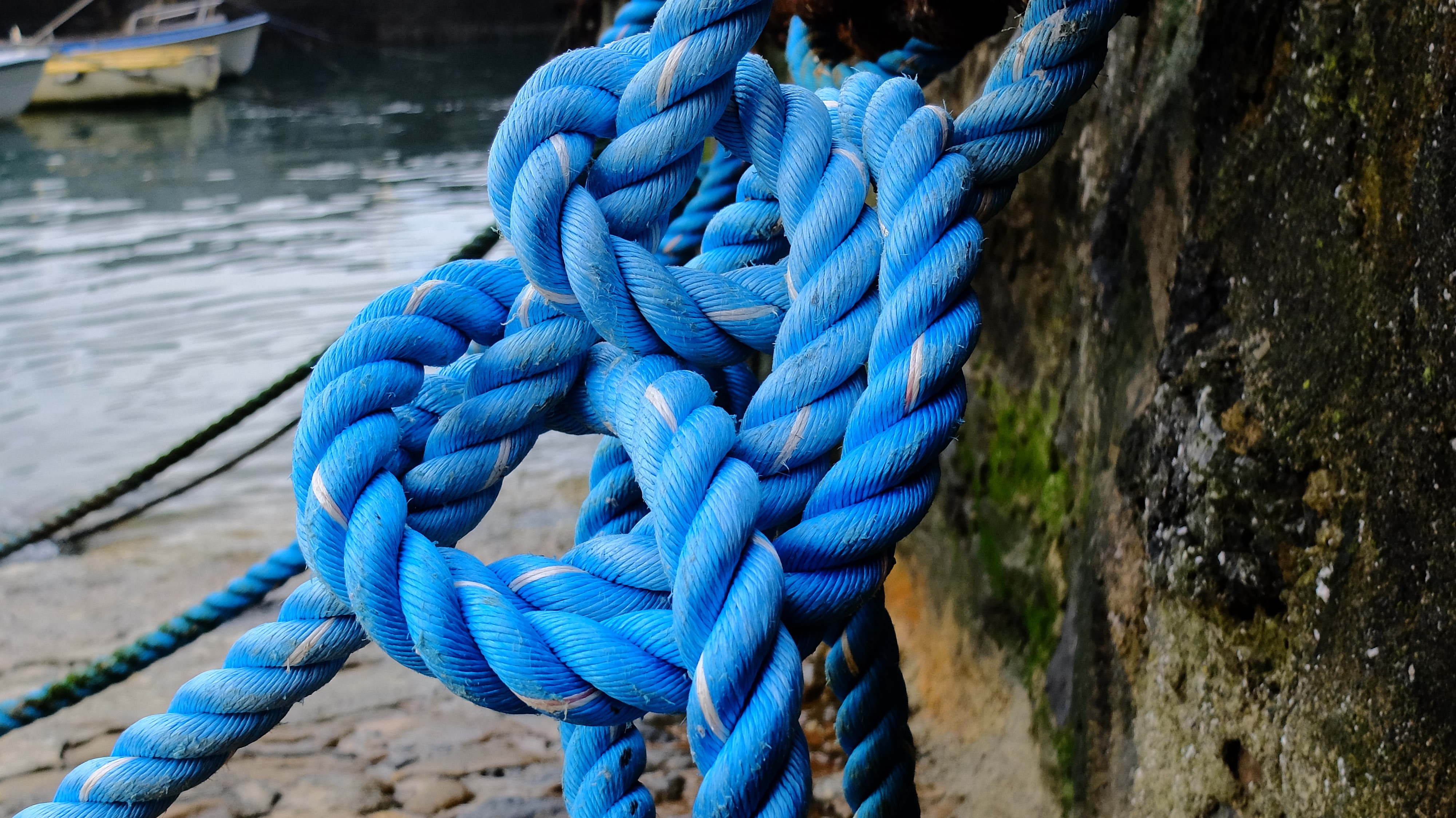 Blue rope knot